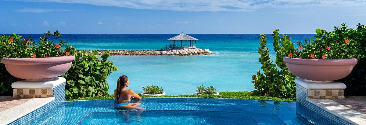 Most Popular Suppliers - background banner